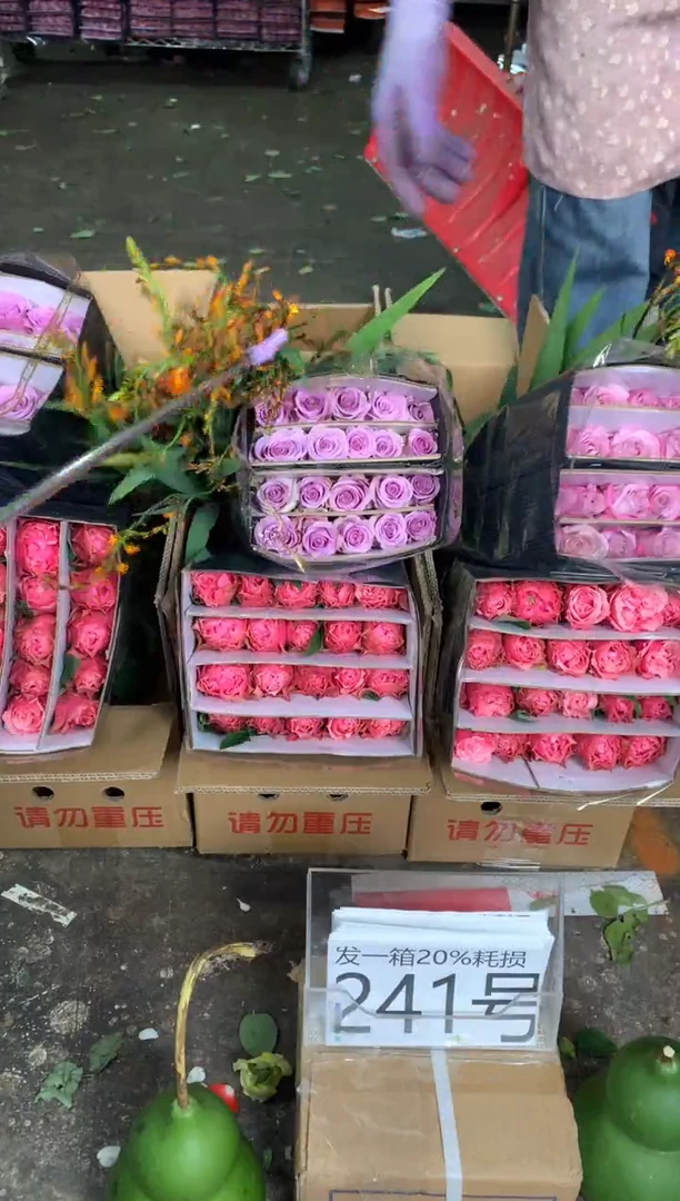 241号♥含20%耗损发一箱