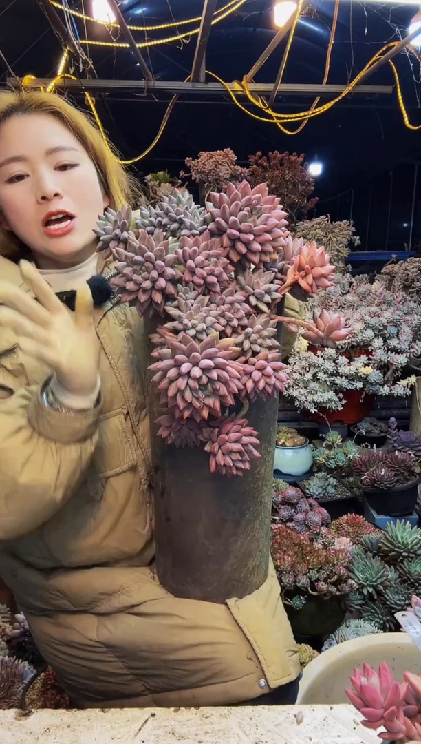 虞姬美人脱土包邮