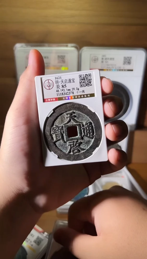 铜黑***子11111111