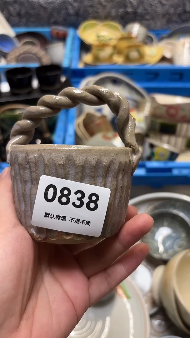 瓷片悦**物喵喵家都是大漂亮