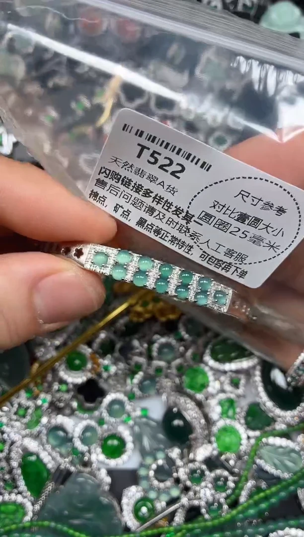 颈饰未镶嵌翡翠T522手镯