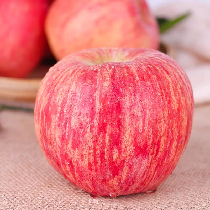 2025新果正宗洛川苹果产地发货脆甜树上熟现摘现发