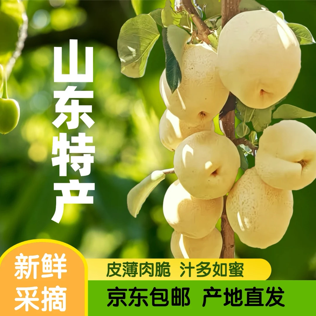 【京东上门】齐鲁酥丑梨山农个大皮薄味甜新鲜现摘脆甜应季果园直发