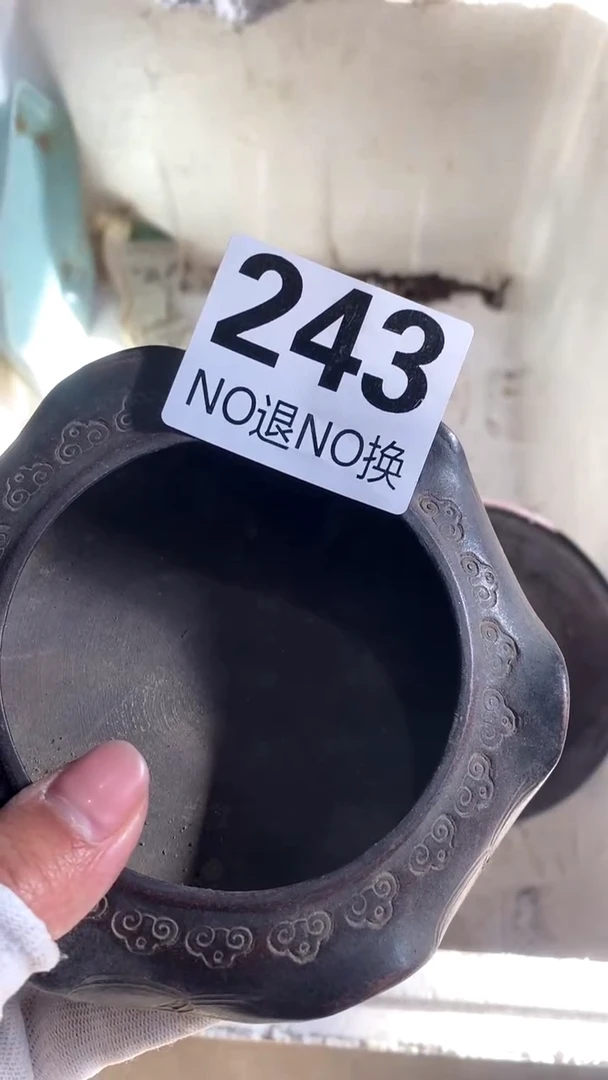 有机玻璃十*幺v方法对付的非常发达发达