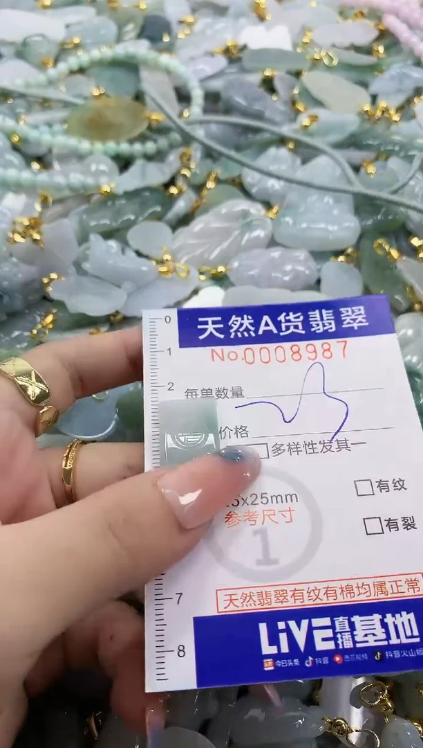 颈饰未镶嵌翡翠天然A货翡翠