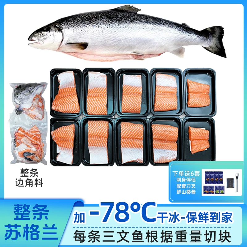 【海怡鲜苏格兰整条】苏格兰皇冠三文鱼整条新鲜更大需现场称