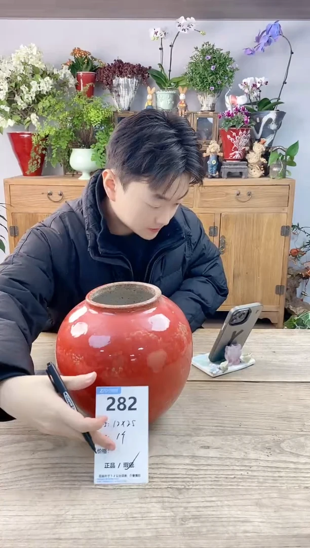 小玩子花盆直播编号282