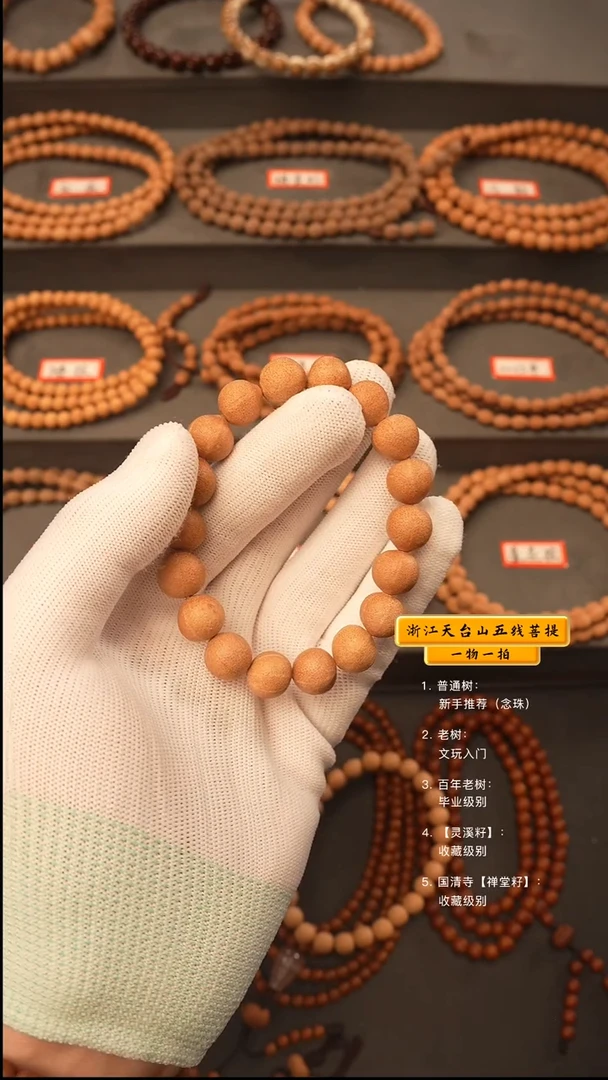 吊坠五线菩提林*龙y手串