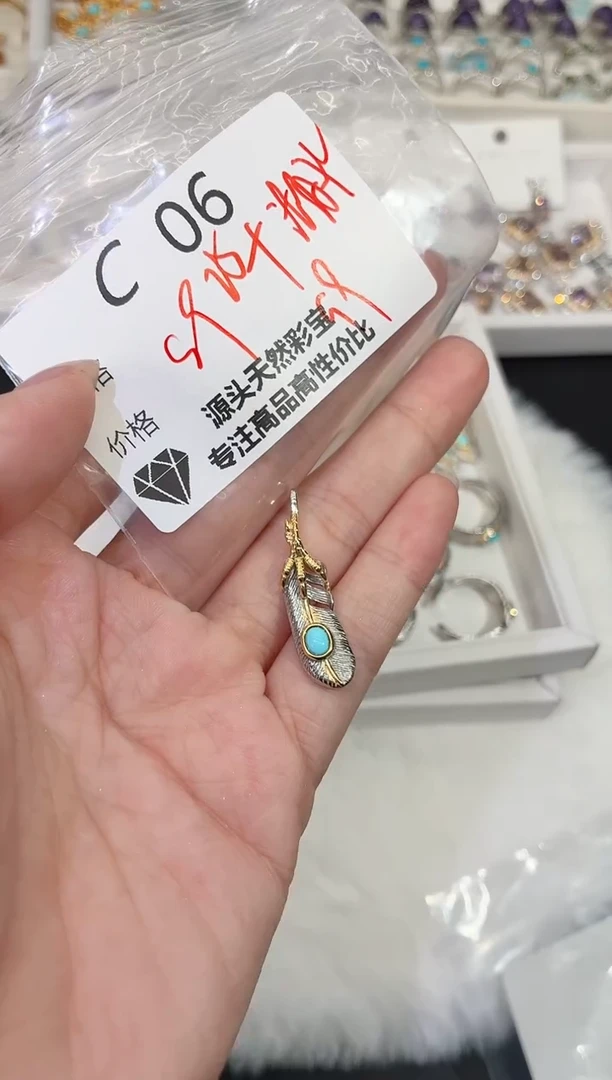 无925银多样性发一C06