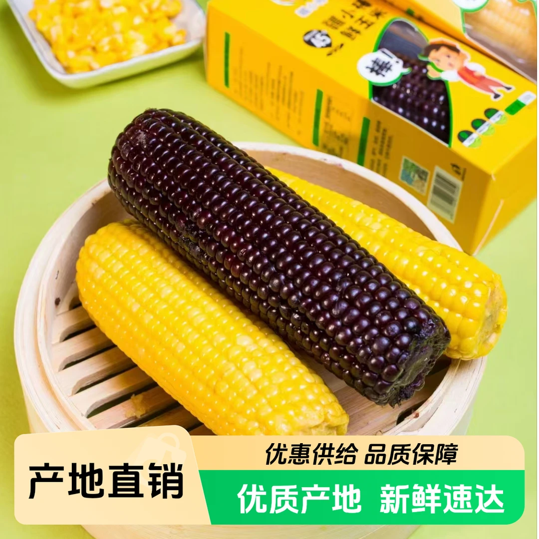 【甜糯玉米新疆赛里木湖新鲜玉米2.4斤/2.8斤】有机零添加乌鲁木齐直发京东次日达新疆维吾尔自治区