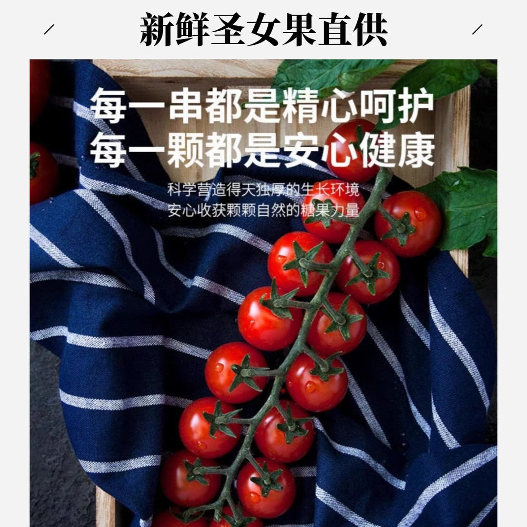 都乐串番茄小番茄串柿子脆的味道浓郁18钱半斤番茄同城配