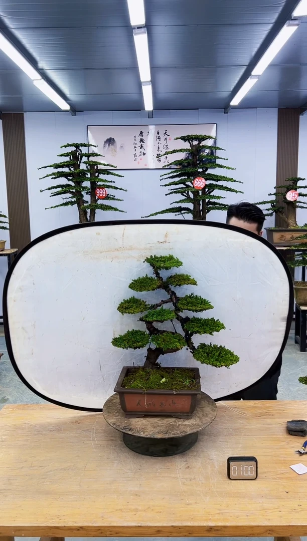 以实际为准00000000