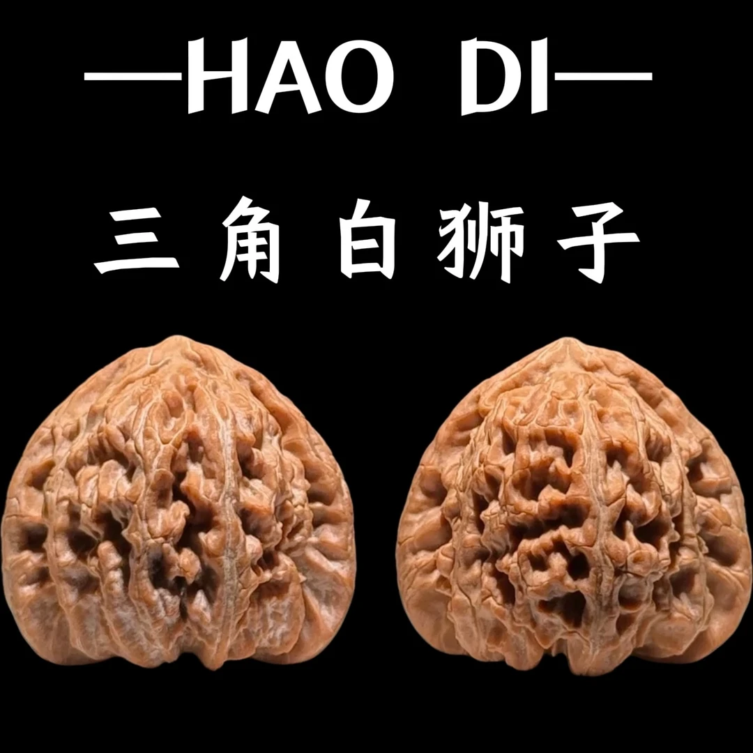 （新果头货）山地老树红皮白狮子（三角白）