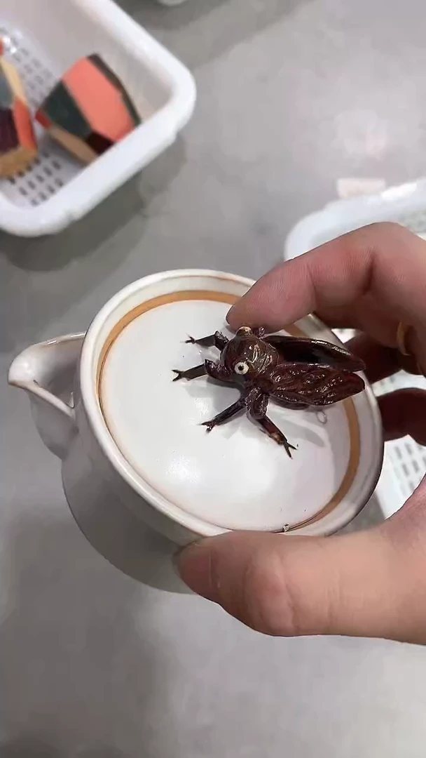 瓷片T274陶瓷茶具茶器