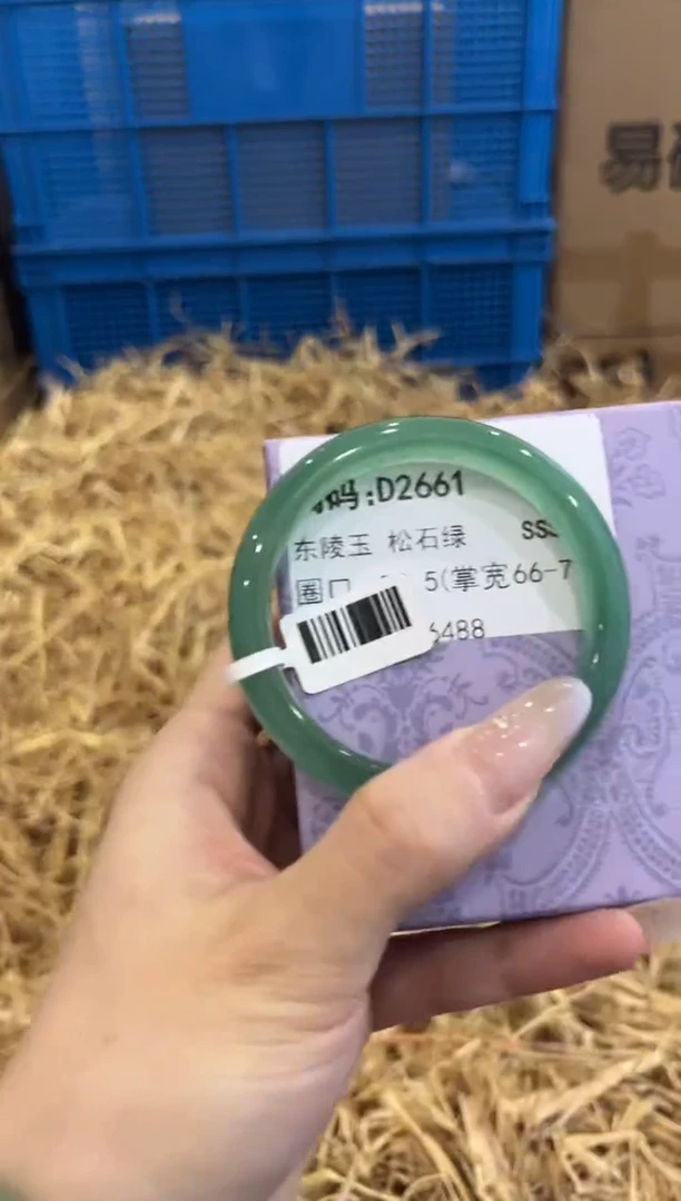 未镶嵌手镯石英质玉D2661