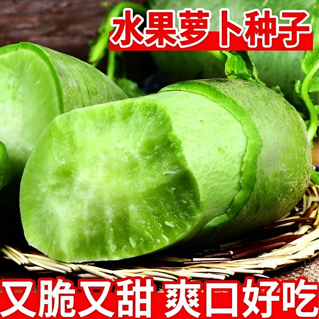 冰糖脆水果萝卜种子生吃脆甜农家蔬菜四季播种阳盆栽绿萝卜