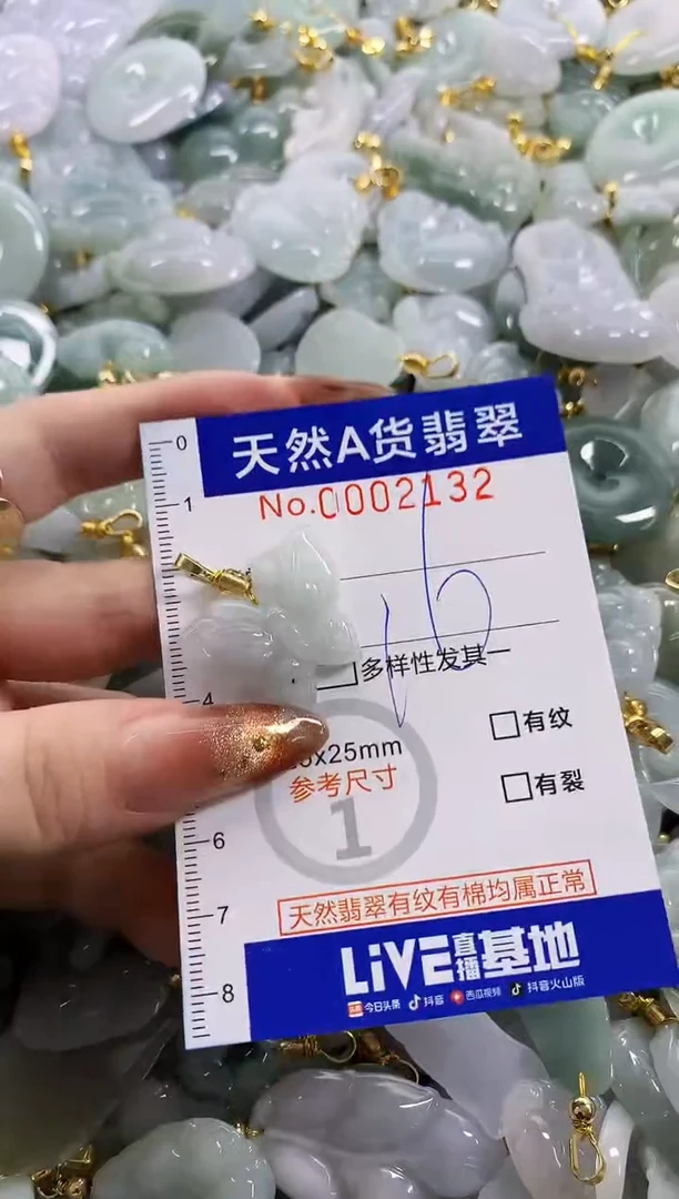 颈饰未镶嵌翡翠天然A货翡翠