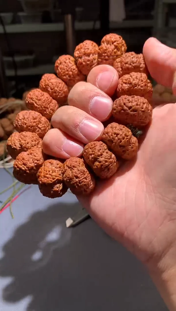 金刚菩提手串1*3377