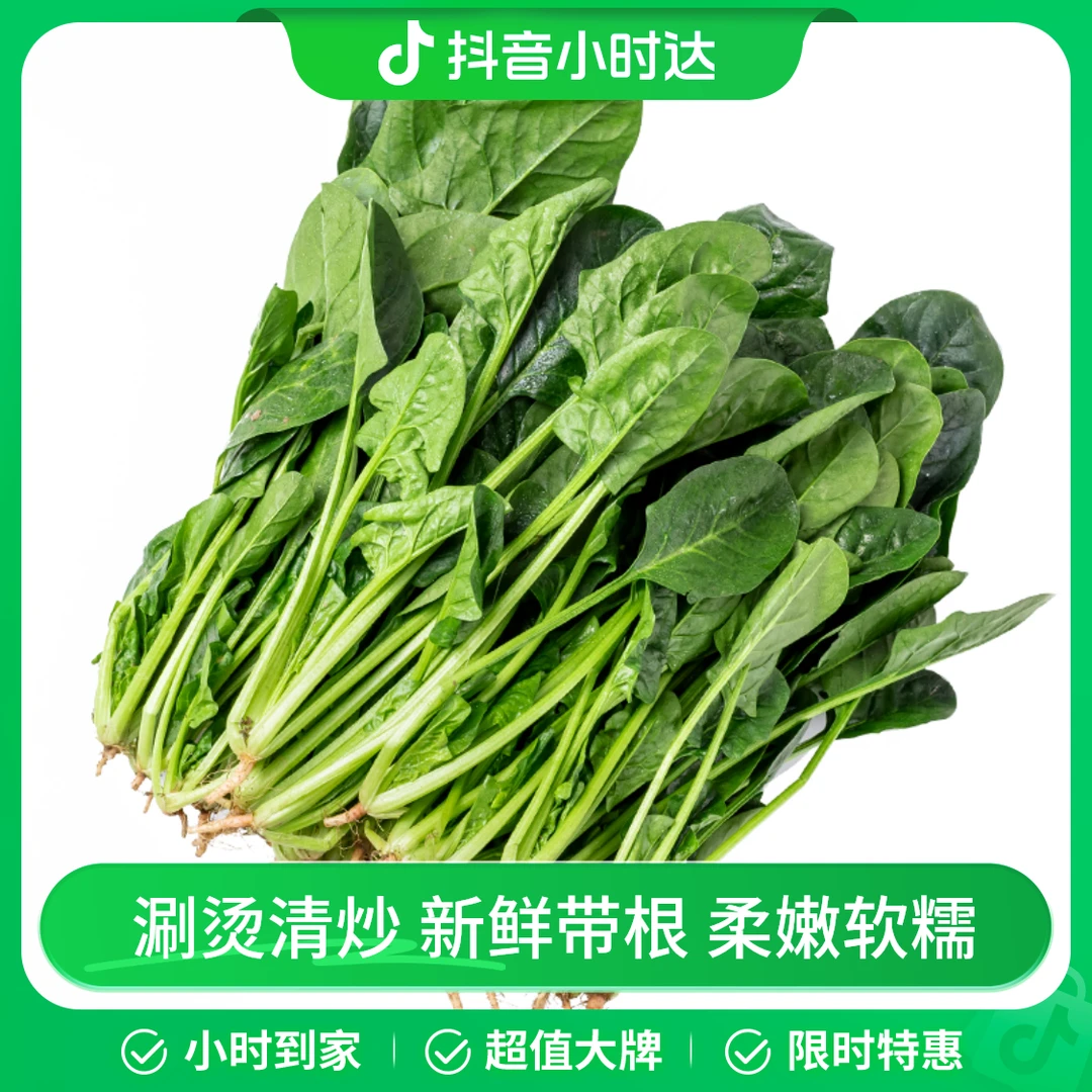 新鲜菠菜 约500g
