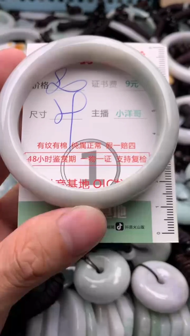 翡翠未镶嵌吊坠(不含链)1