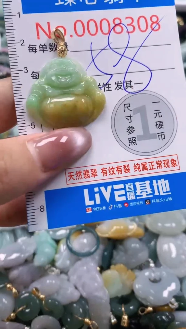 翡翠未镶嵌颈饰含绳0008308