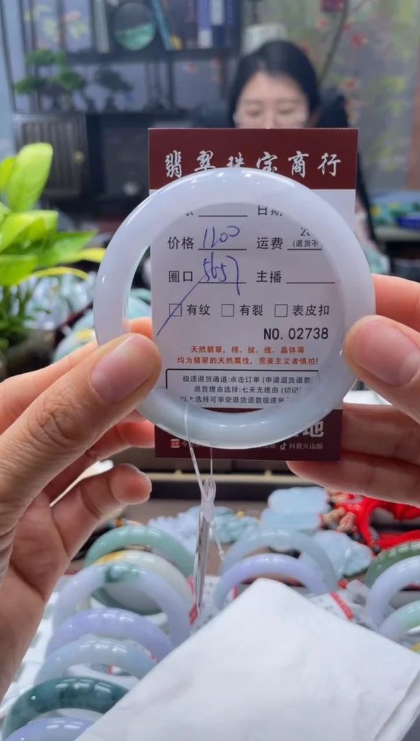 未镶嵌手镯翡翠2738