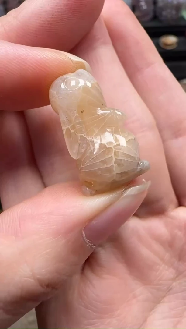 颈饰未镶嵌硅化珊瑚（珊瑚玉）660