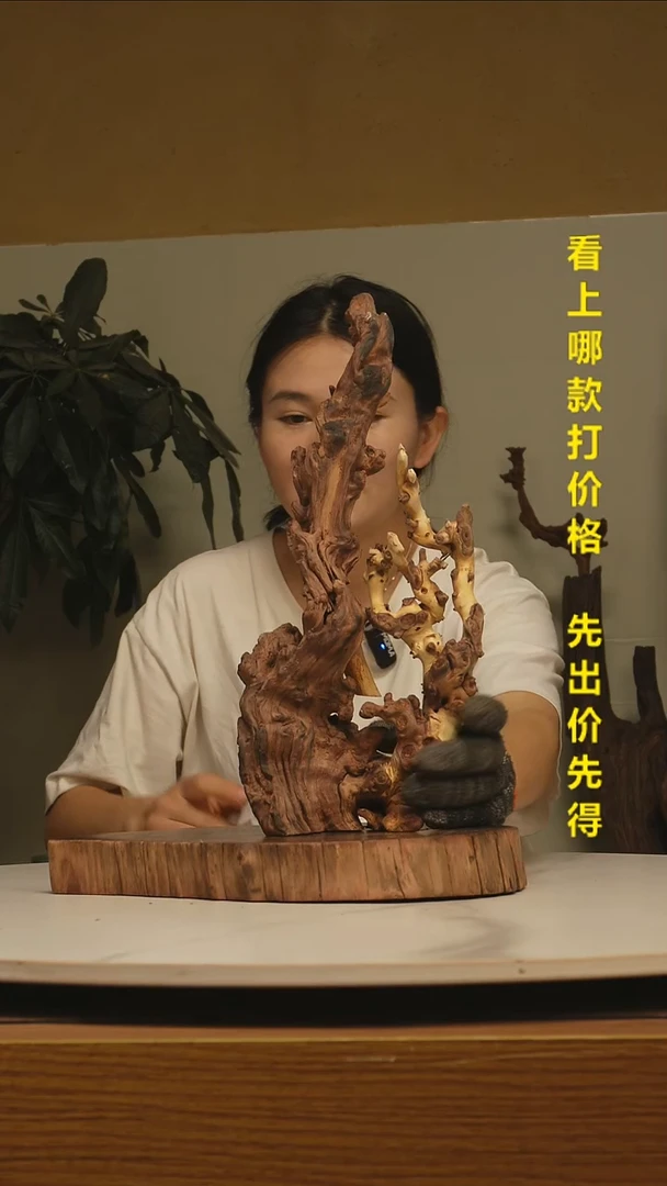 木清***水金丝红木163