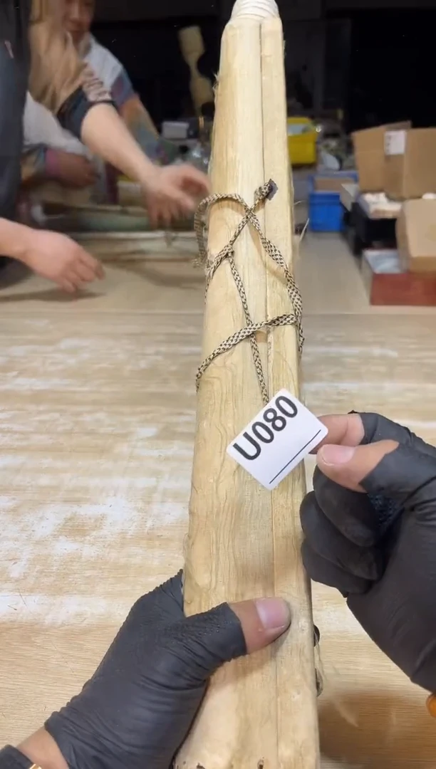 直播定闪专用链接