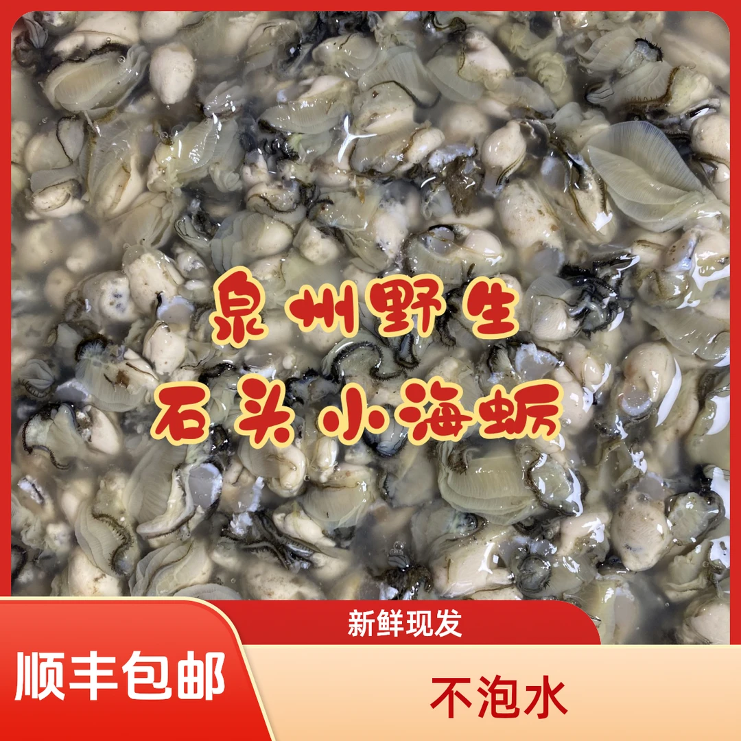 福建特产新鲜现剥不泡水海蛎肉牡蛎肉去壳生蚝肉海鲜蚵仔煎卤面
