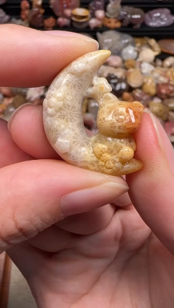 硅化珊瑚（珊瑚玉）未镶嵌颈饰247