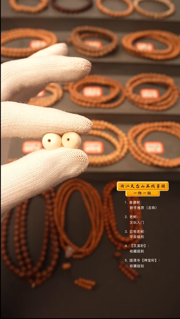 吊坠五线菩提2颗