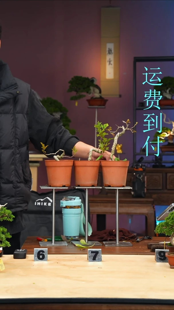 无花朵广***玩,161，162,163，