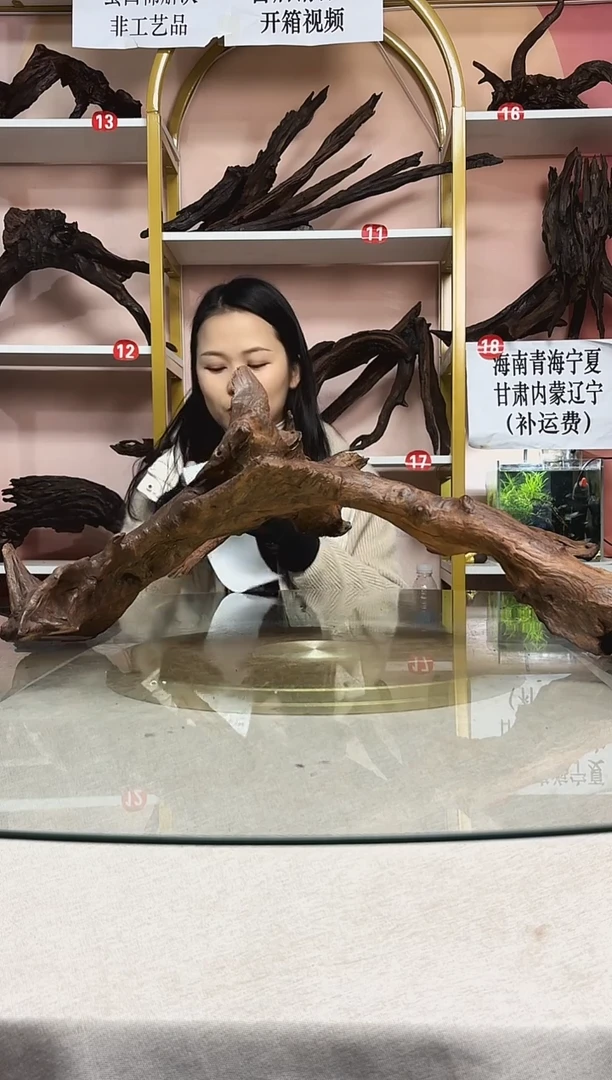 知*鱼缸造景沉木A036