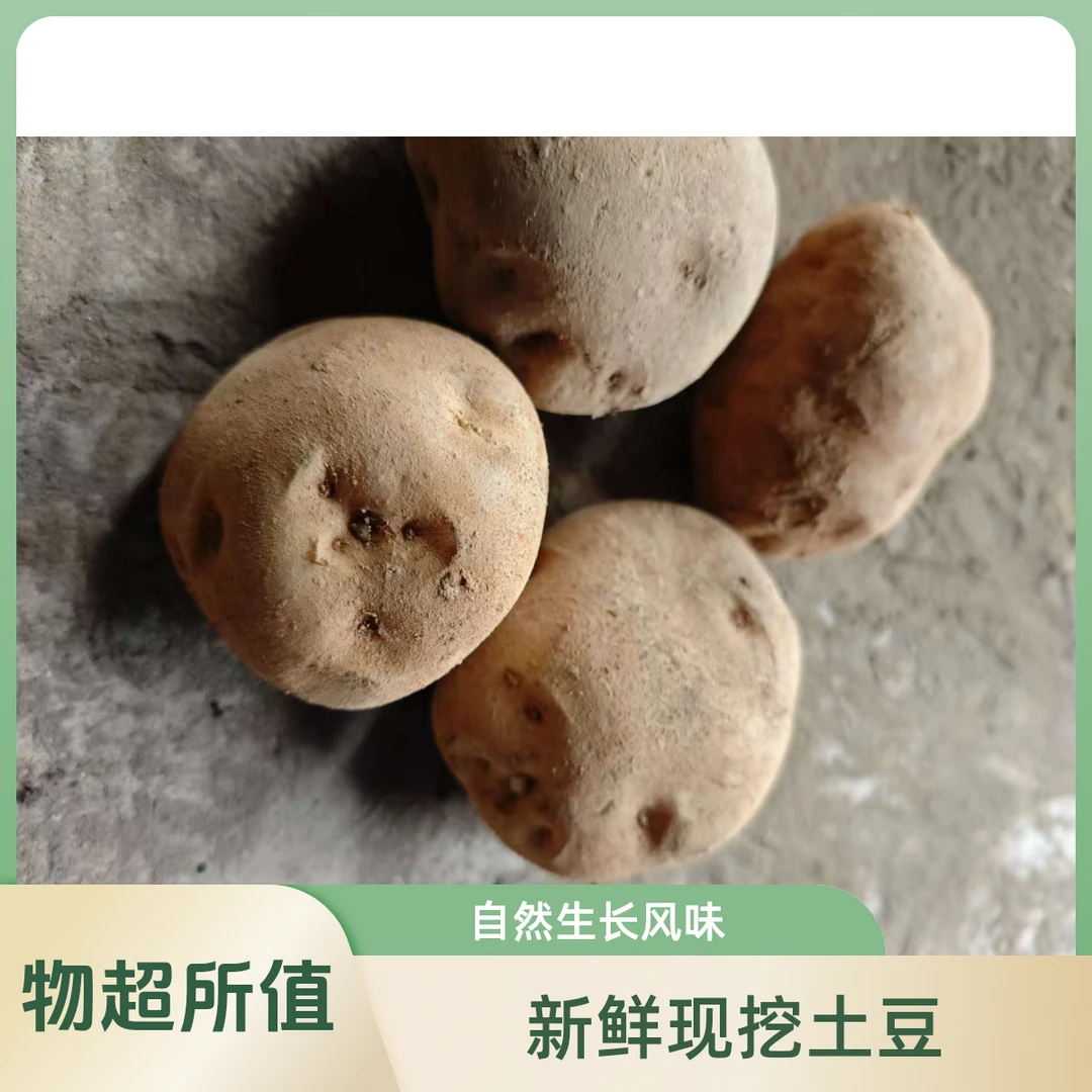 贵州农家自种白粉果    粉果洋芋   粉粉糯糯