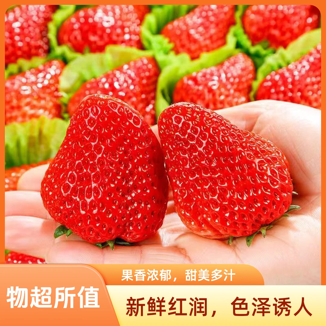 [新年头茬安徽红颜草莓】口口爆汁 红颜草莓【500克-1000克】红颜中国大陆