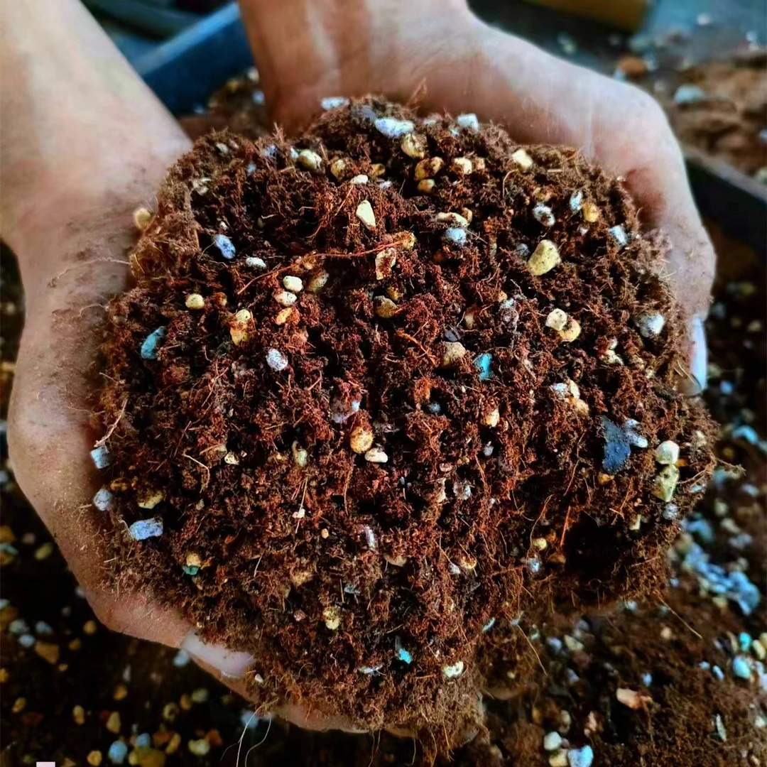 顺丰月季花专用营养土 重约2500g/10升 自己苗圃在用的营养土