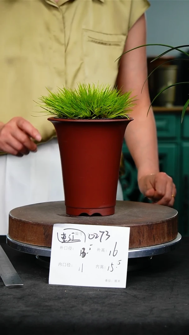 紫砂花盆0273紫砂花盆