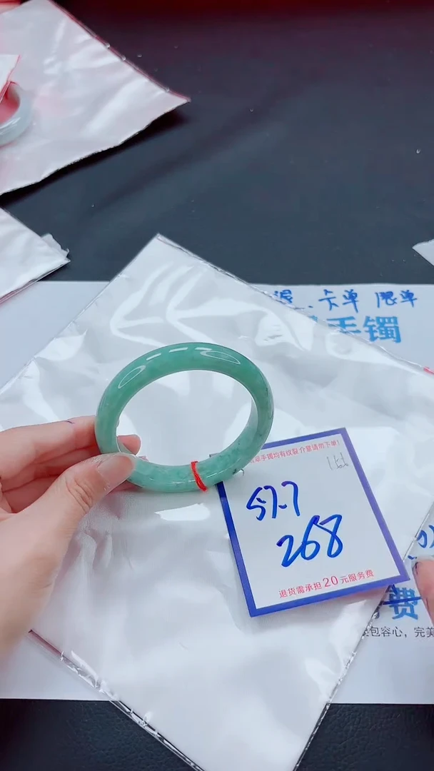 未镶嵌手镯翡翠11111111