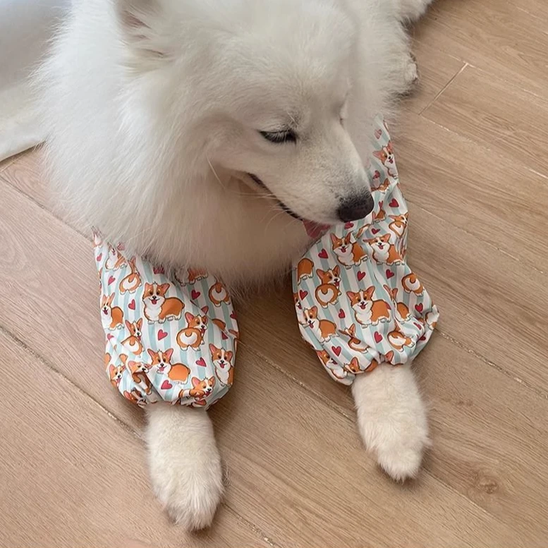 宠物中大型犬狗狗护肘防舔耐磨防脏神器金毛拉布拉多边牧萨摩耶LW