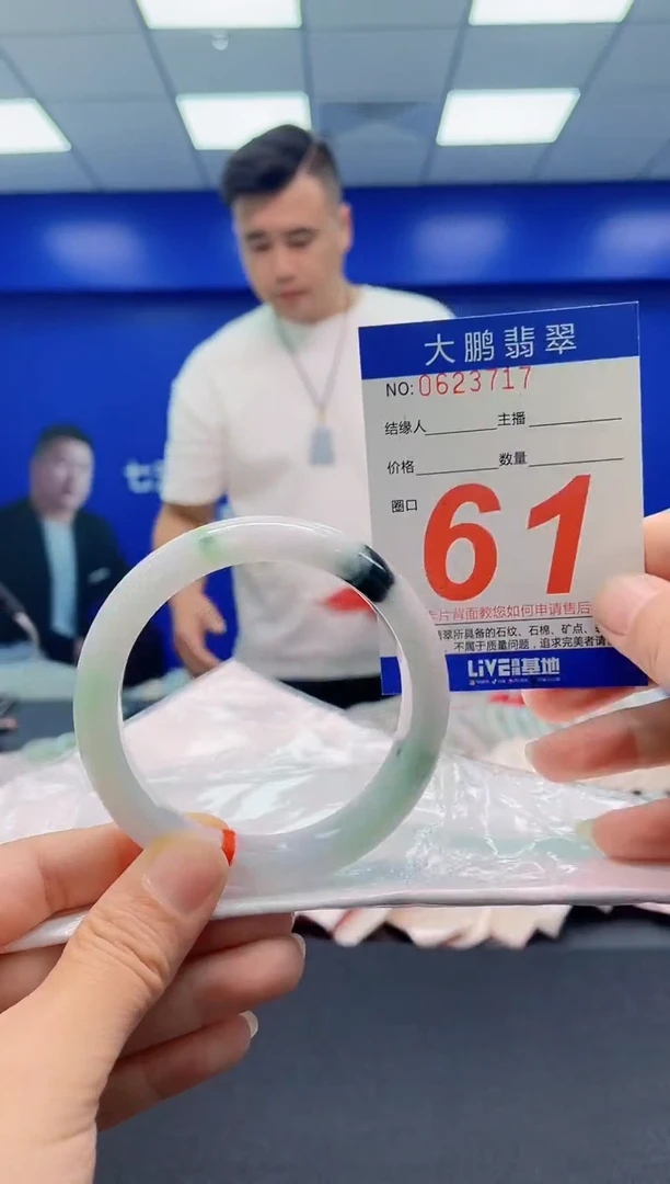 未镶嵌手镯翡翠AAAAAAAAA