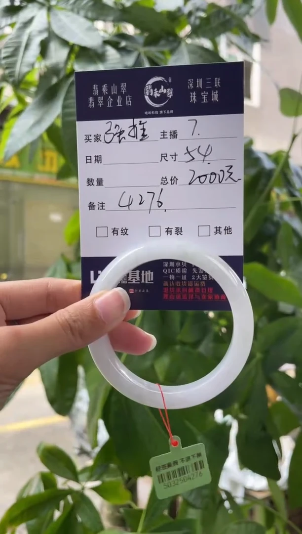 未镶嵌手镯翡翠Q 54正圈 4276