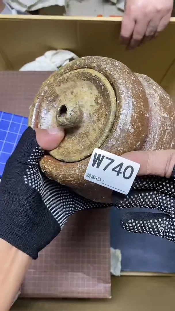 瓷片?****术W740默认微瑕，谨慎参拍