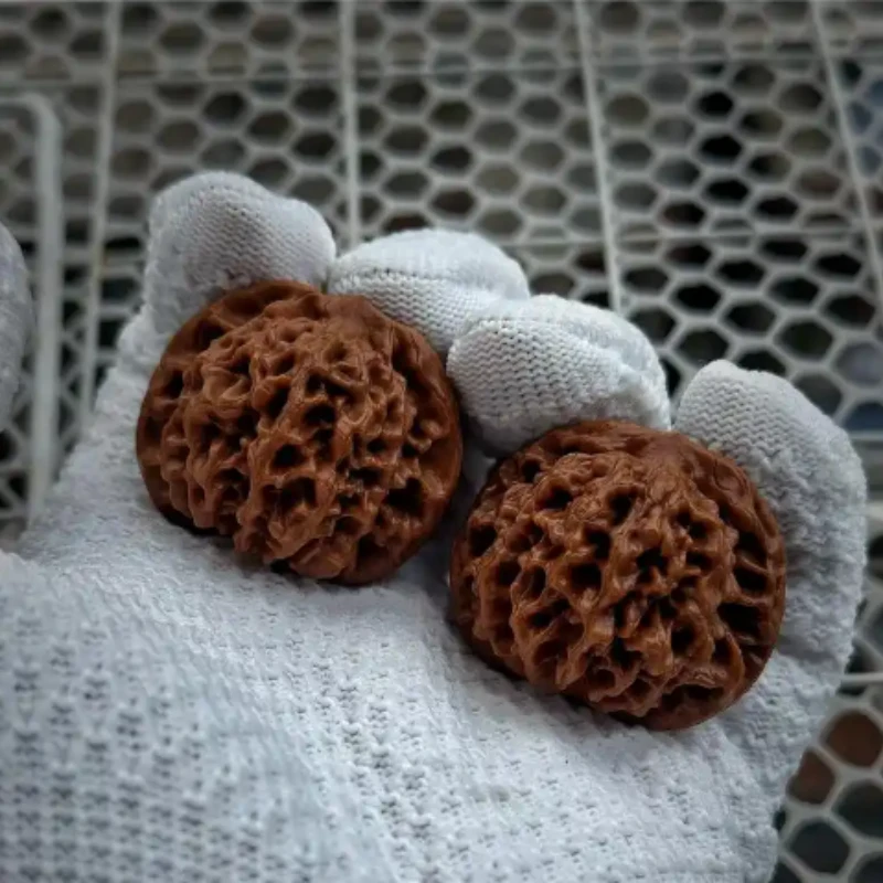 2-3年苗买1送2】核桃树苗耐寒耐热庭院种植南北方盆栽地栽大果