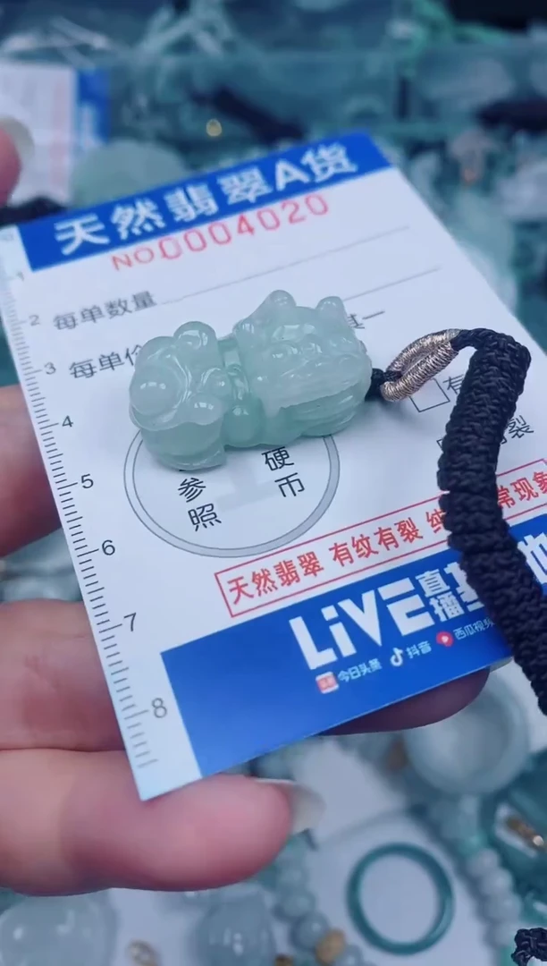 颈饰未镶嵌翡翠00004020