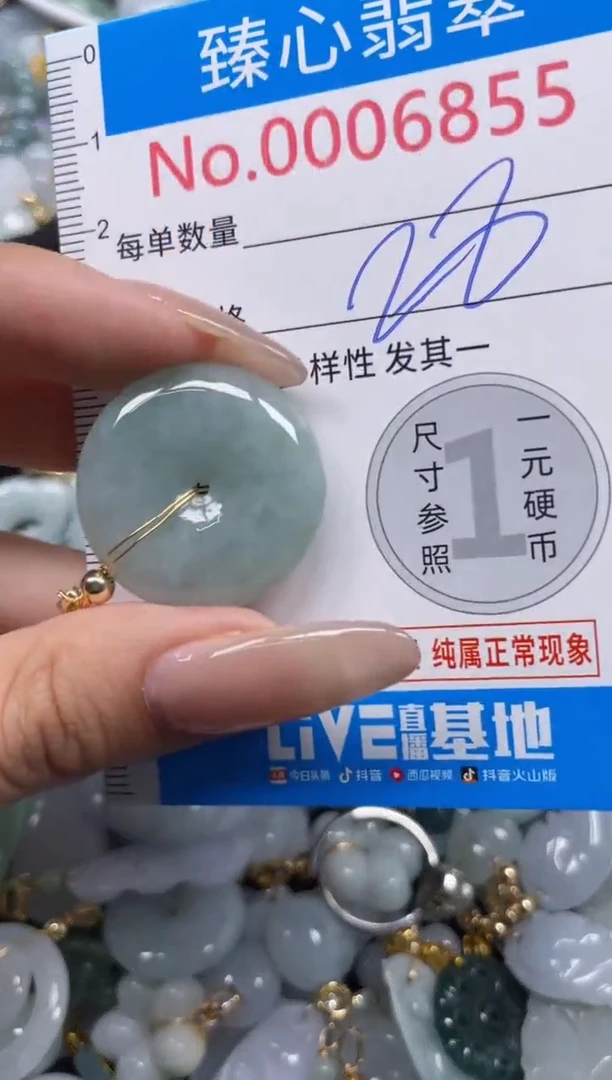 颈饰未镶嵌翡翠6855