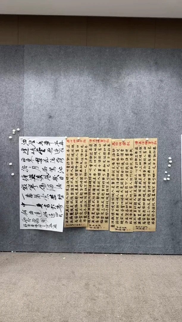 【闪购商品】书法pmb不二轩旗舰店国画ZJD6