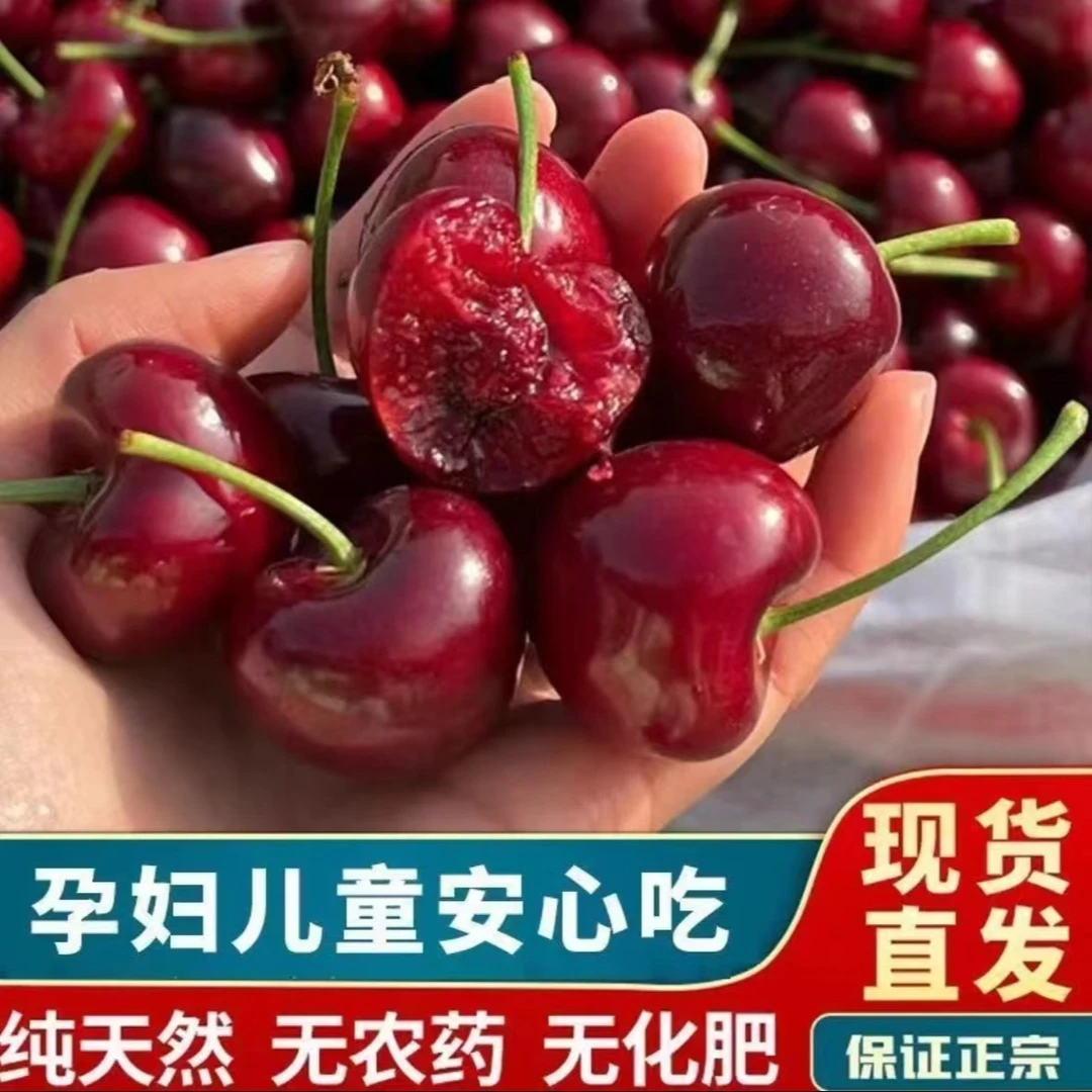 头茬农户自家果蔬菜园种植美早生鲜健康美味现摘现发 水果萝卜