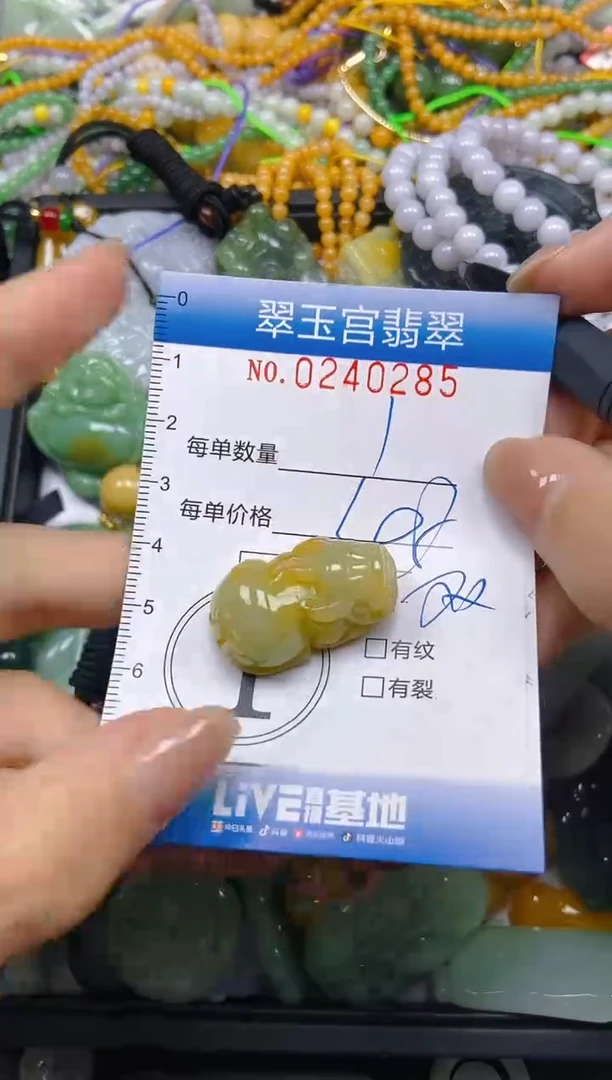 颈饰未镶嵌翡翠闪购C0240285