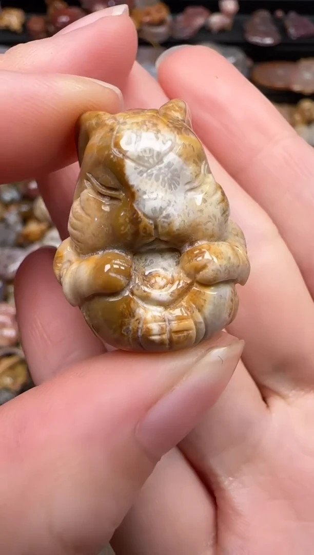 硅化珊瑚（珊瑚玉）未镶嵌颈饰187